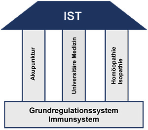 IST-Diagnostik Grundregulationssystem Immunsystem